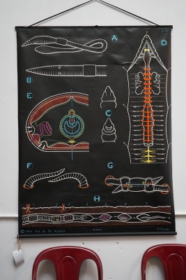 vintage-dr-auzoux-poster-chart-from-france-earthworm-biology-nz
